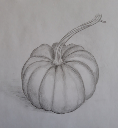 Dessin d'observation : une courge de Muriel le 28 mars 2023