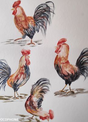 Un coq à l'aquarelle dans tous ses états de Mireille le 29 mars 2023