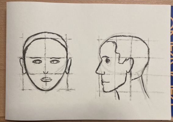 Les Proportions du visage en Dessin de Carla le 30 mars 2023