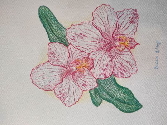 Concours de Printemps : Coloriage de Printemps de Julie le 29 avril 2023