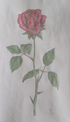 Concours de Printemps : Coloriage de Printemps de Jérôme le 30 avril 2023