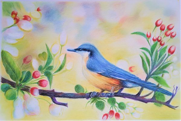 Concours de Printemps : Coloriage de Printemps de Jeanne le 30 avril 2023
