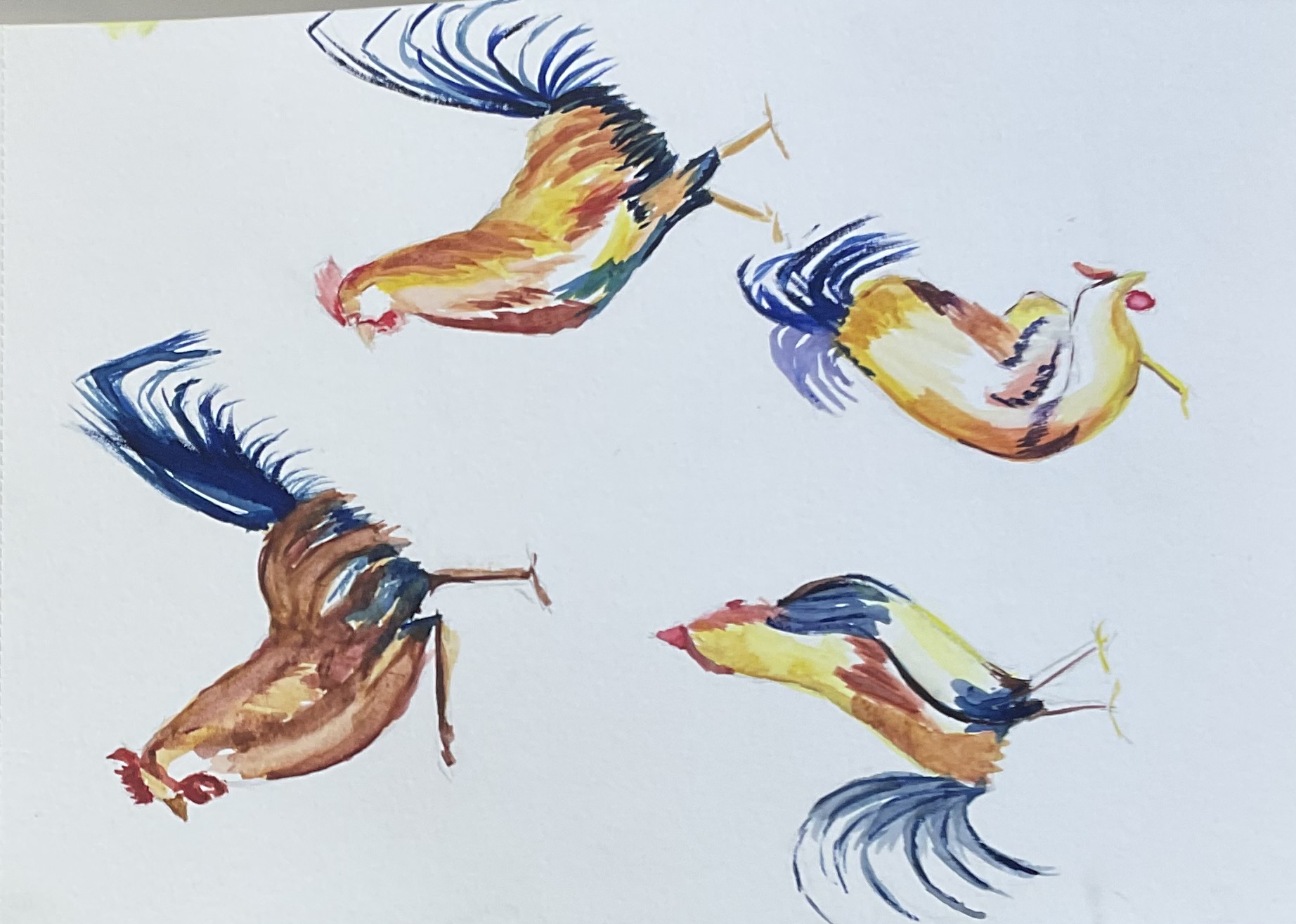 Un coq à l'aquarelle dans tous ses états de Sylvie le 10 octobre 2023
