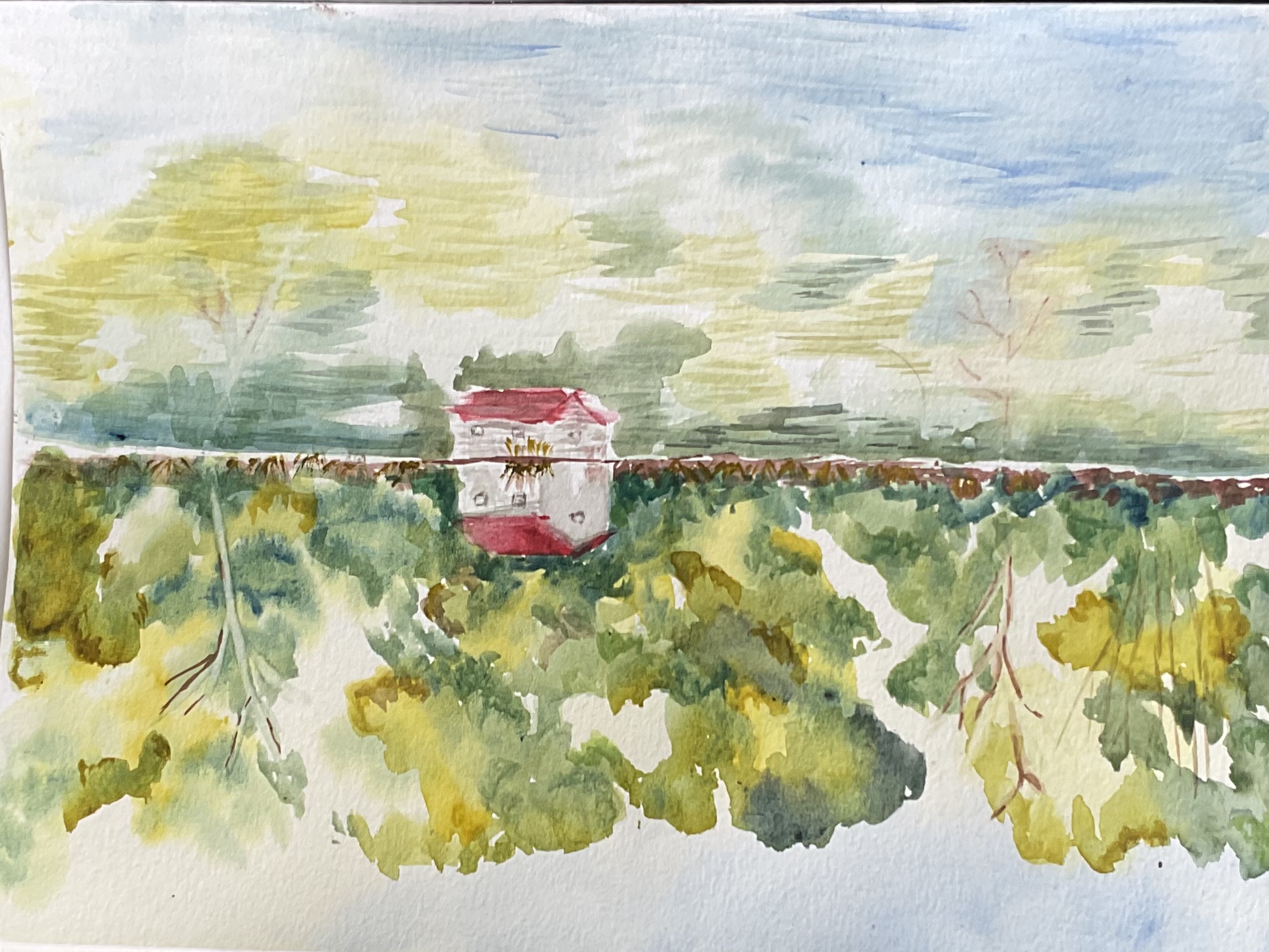 Peindre les reflets dans l'eau à l'aquarelle de Sylvie le 24 octobre 2023