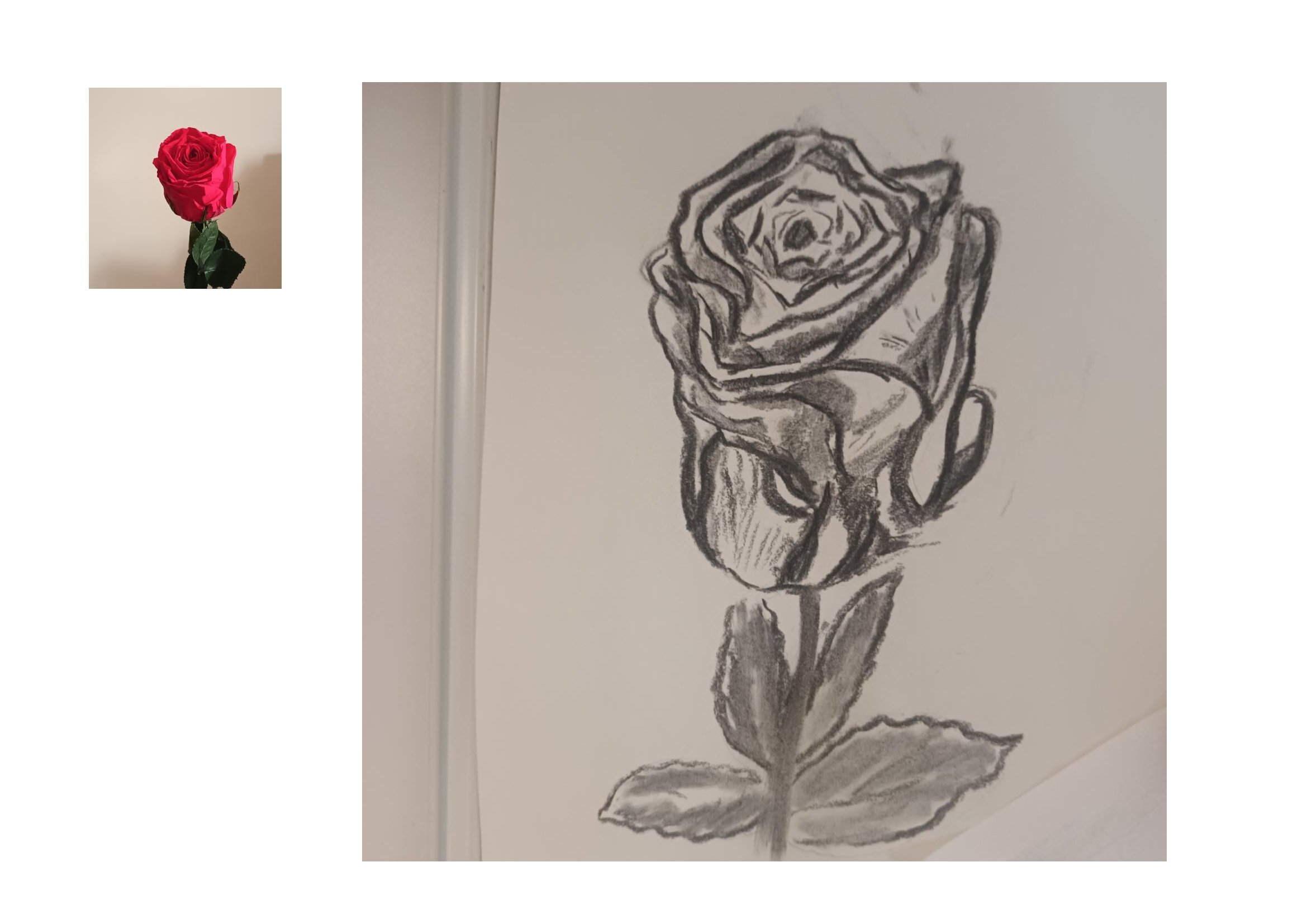 Dessiner une rose de Annie le 06 novembre 2023