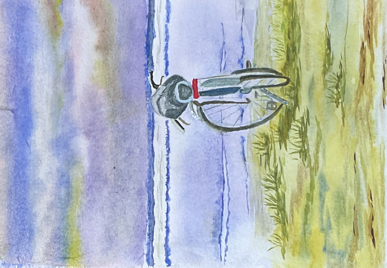 Un vélo abandonné dans un écrin à l'aquarelle de Sylvie le 09 novembre 2023