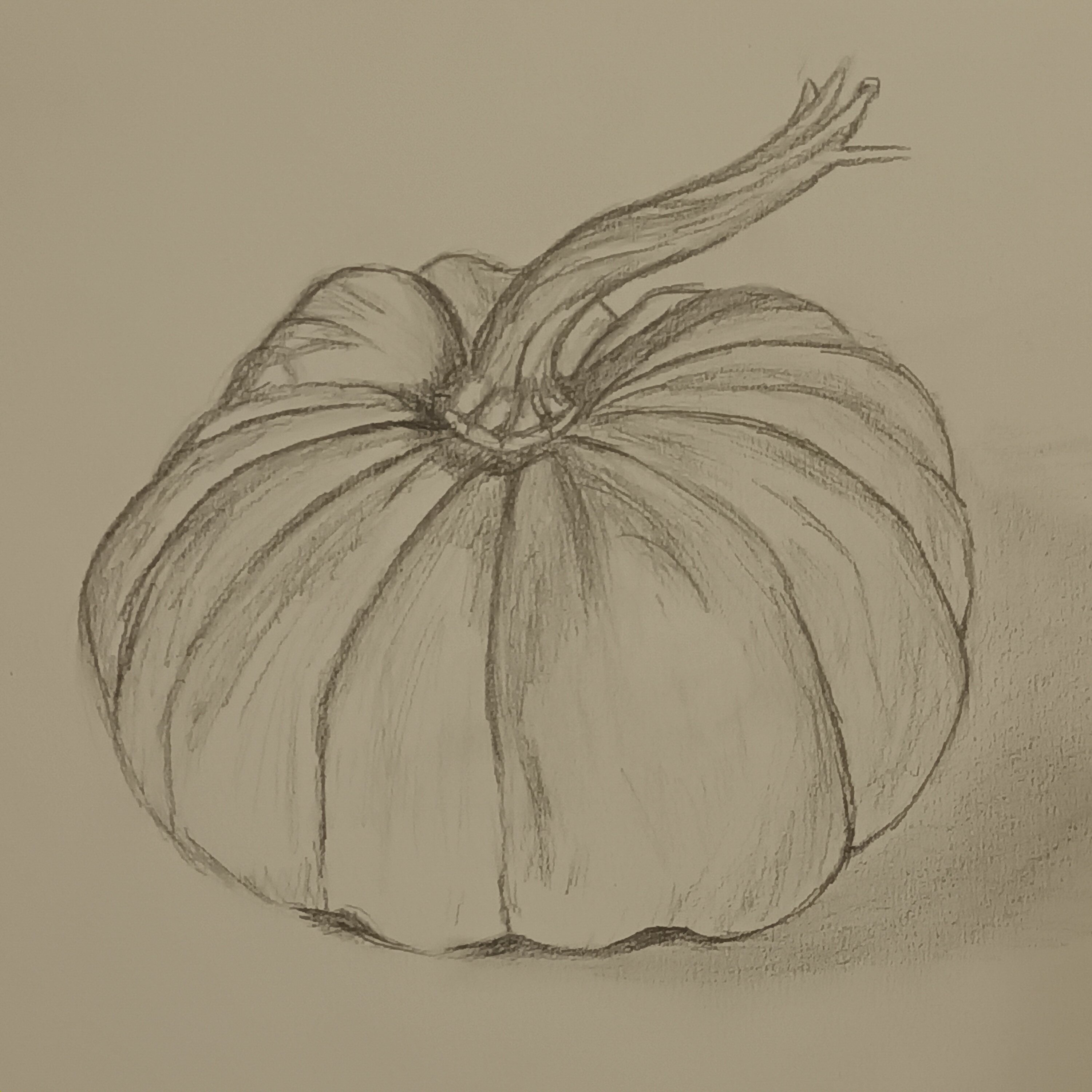 Dessin d'observation : une courge de Annie le 13 novembre 2023