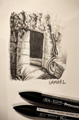 Concours de promarkers (terminé) de Samael le 20 novembre 2023
