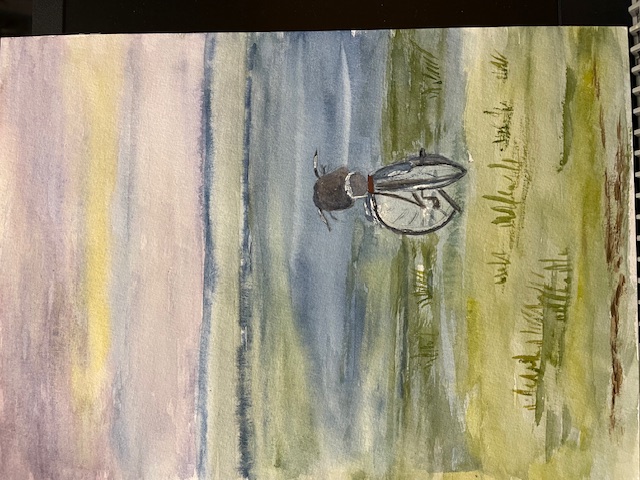 Un vélo abandonné dans un écrin à l'aquarelle de Josiane le 30 novembre 2023