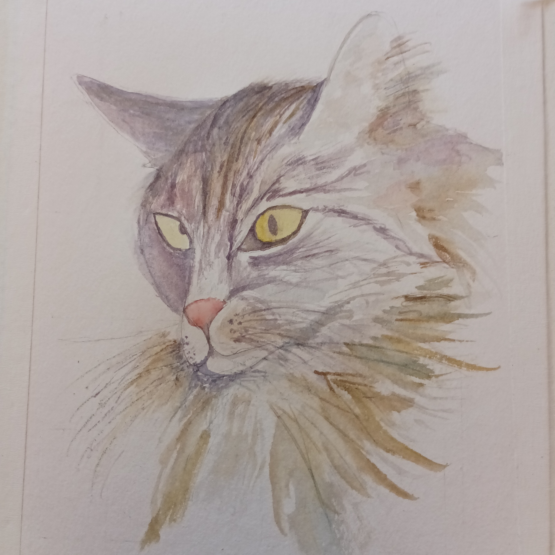 Un chat à l'aquarelle de Jacques le 15 janvier 2024