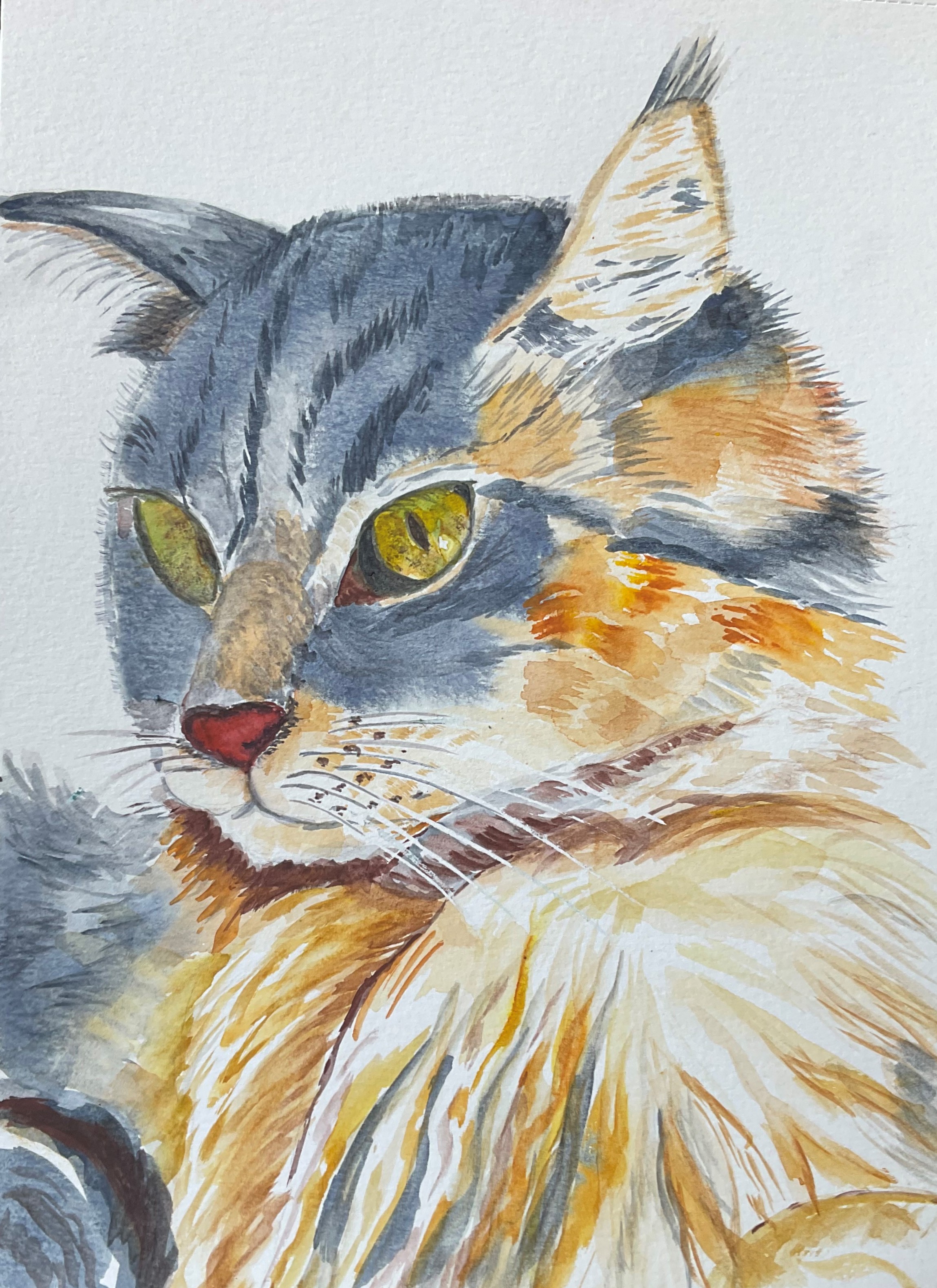 Un chat à l'aquarelle de Sylvie le 01 février 2024