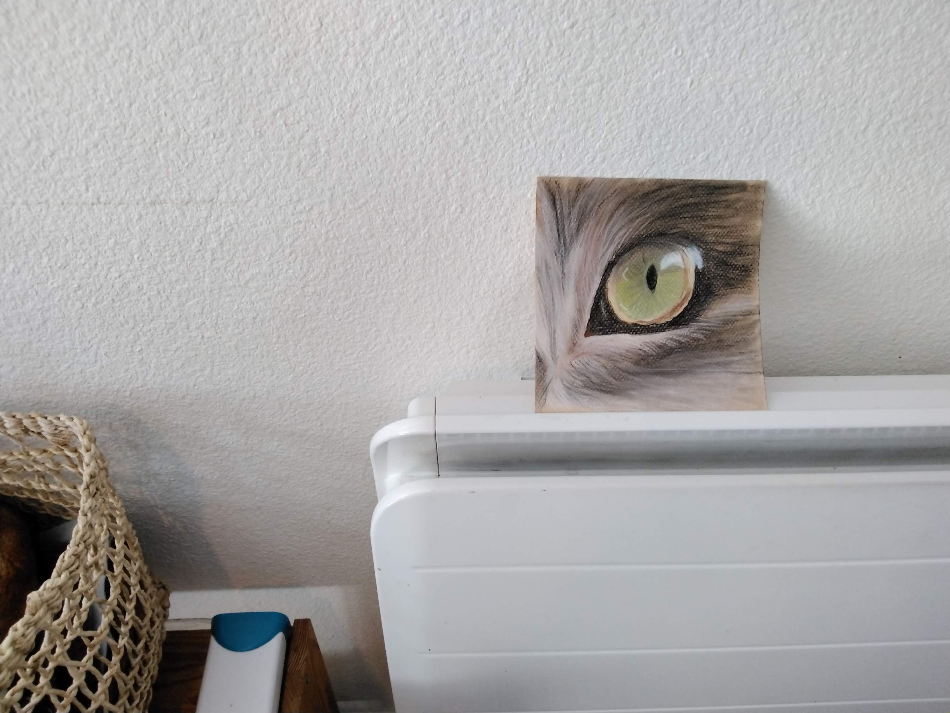 Un regard félin au pastel de Mireille le 03 avril 2024