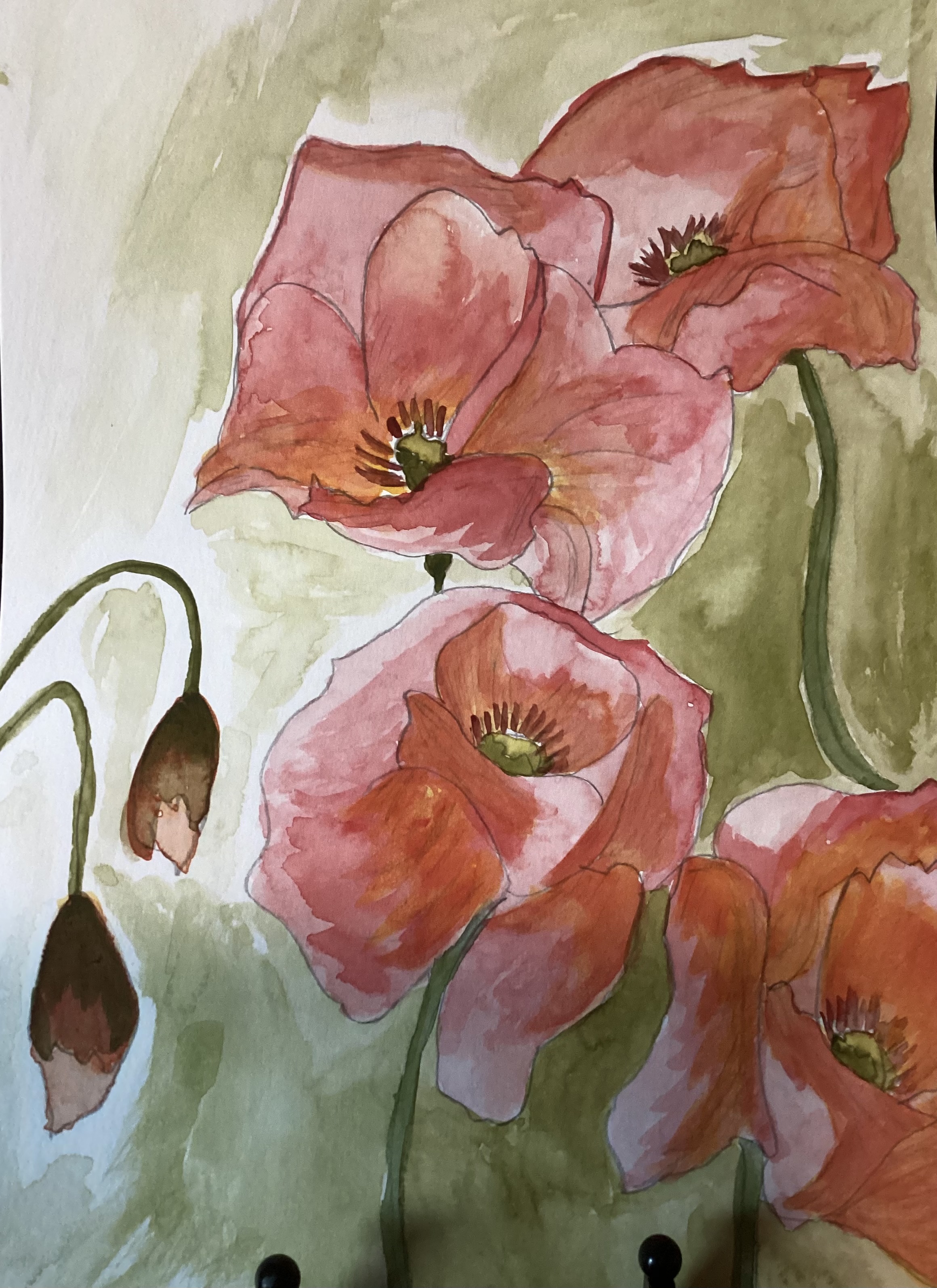 Peindre un coquelicot à l'aquarelle de Marguerite le 10 avril 2024