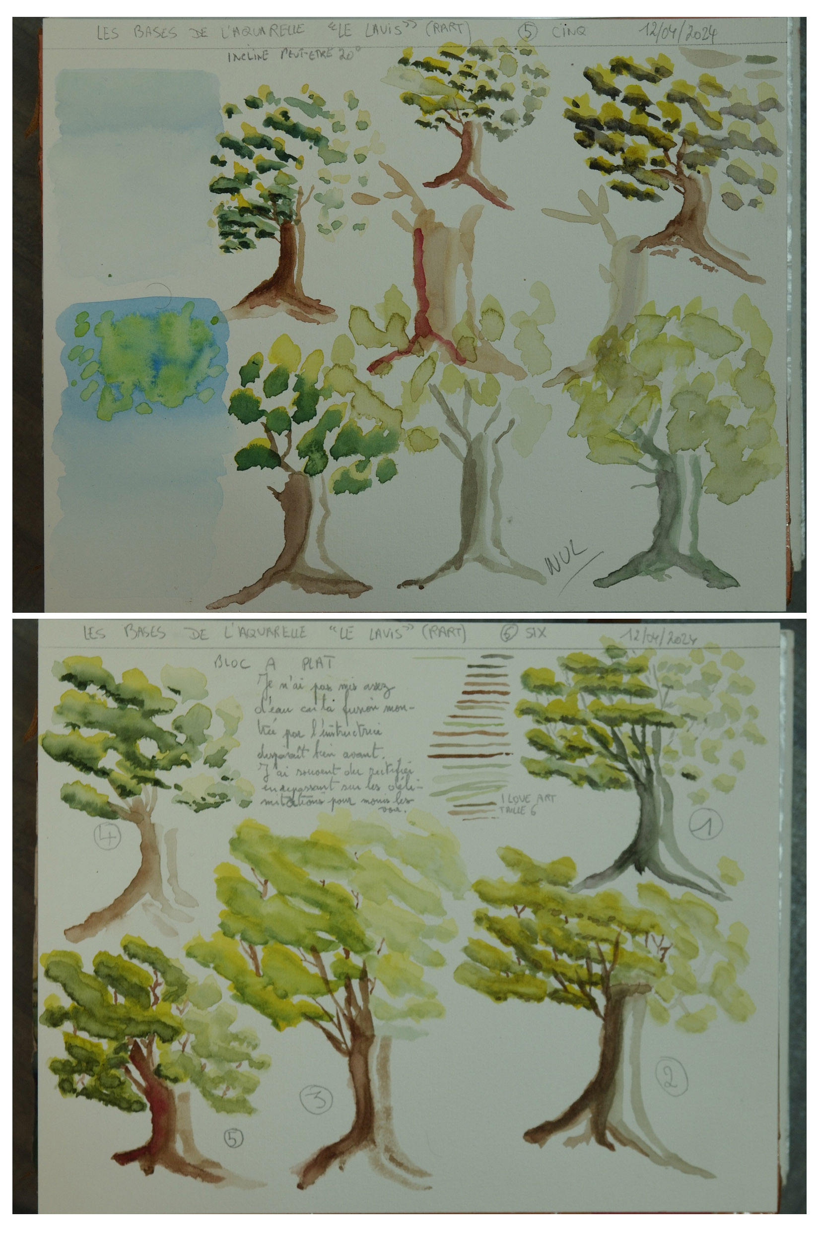 Le Lavis à l'Aquarelle de Lionel le 12 avril 2024