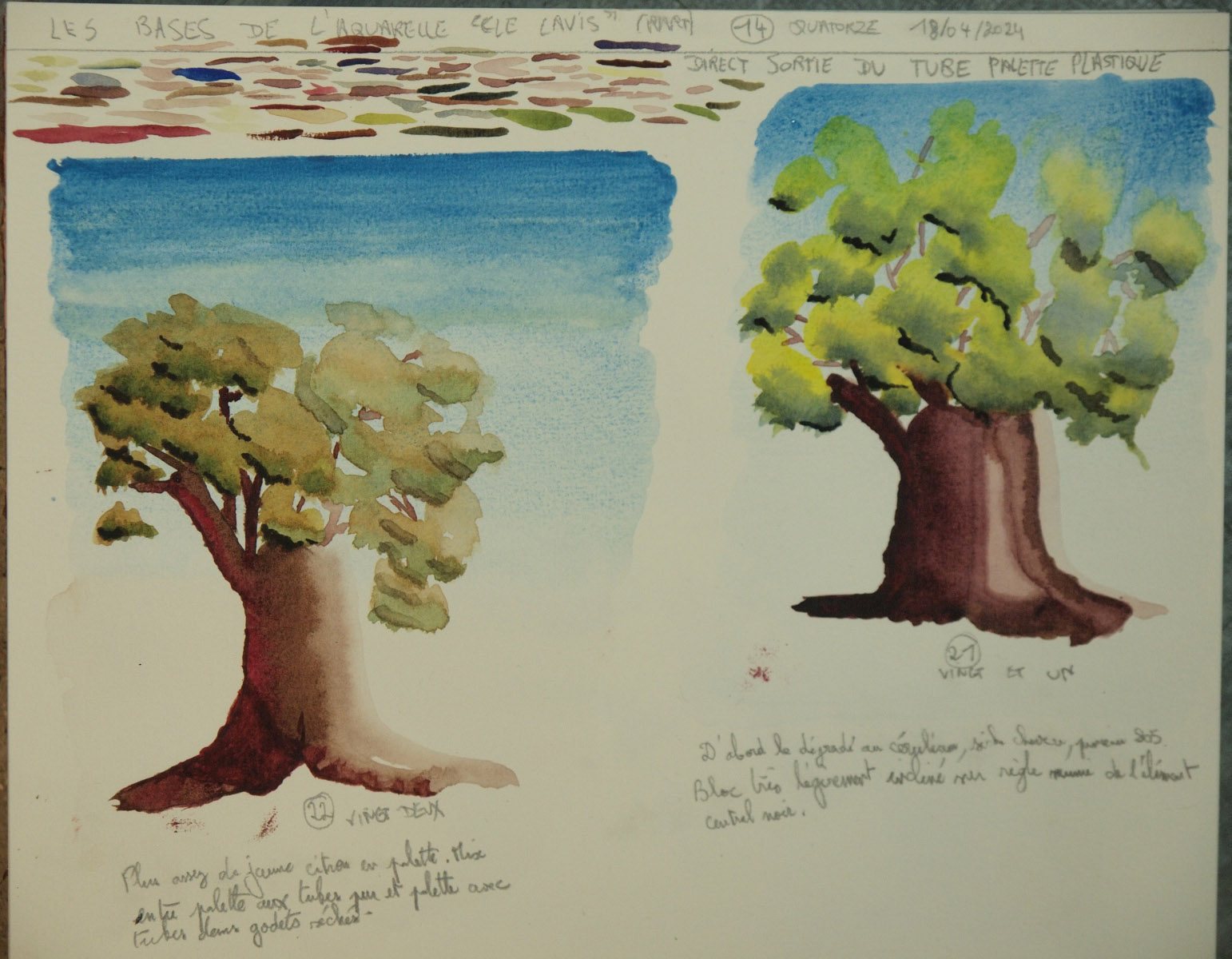 Le Lavis à l'Aquarelle de Lionel le 18 avril 2024