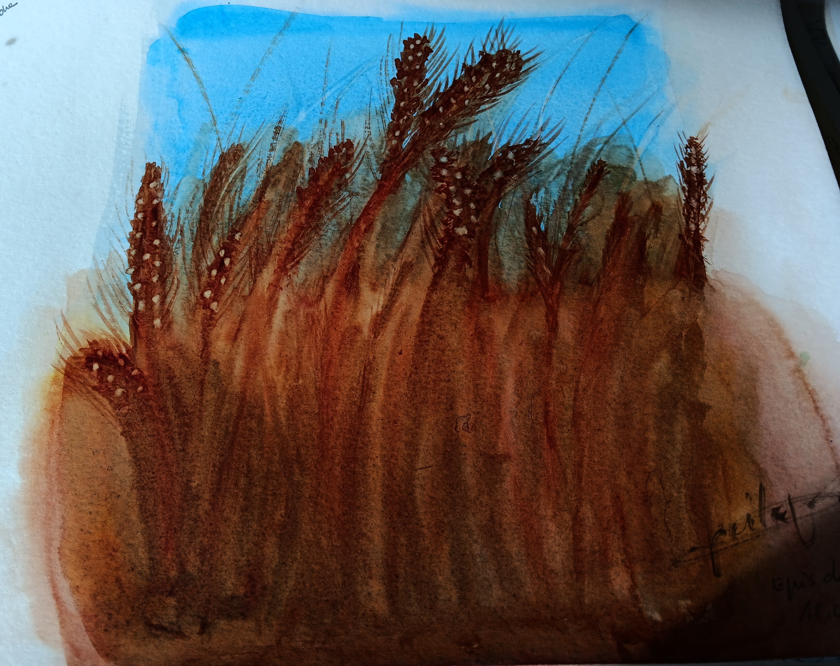 Aquarelle au bord du champ de Cécile le 26 avril 2024