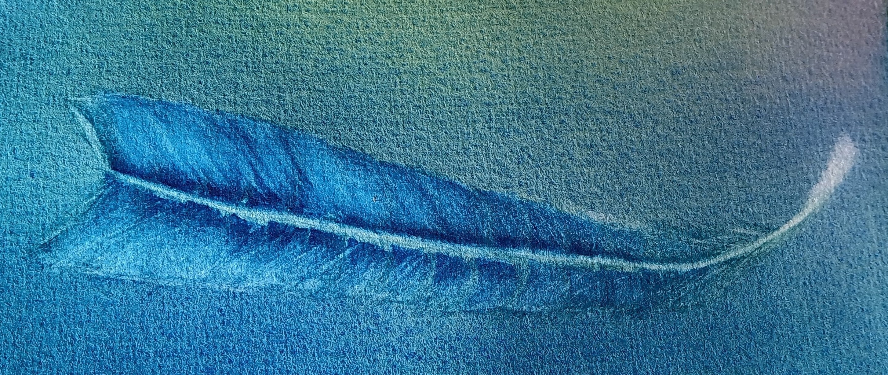 Une plume dans le voyage de l'eau de Cécile le 26 avril 2024