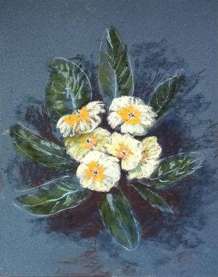 Des primevères au pastel de Anne-marie le 29 mai 2024