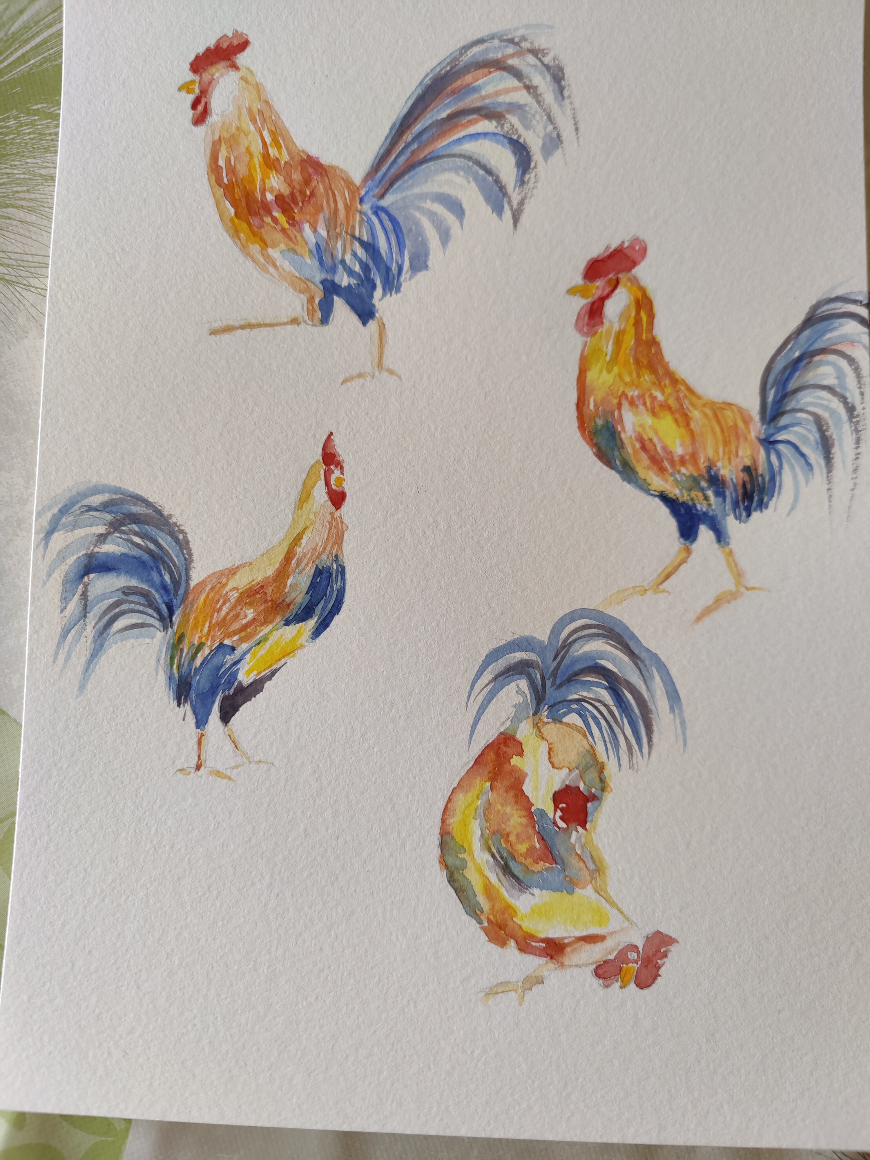 Un coq à l'aquarelle dans tous ses états de Françoise le 11 septembre 2024