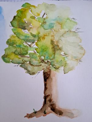 Le Lavis à l'Aquarelle de Sandrine le 12 novembre 2024