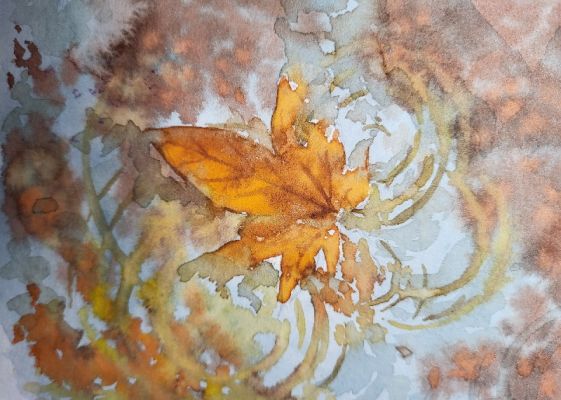 Le mariage du pigment et de l'eau à l'aquarelle de Séverine le 23 novembre 2024