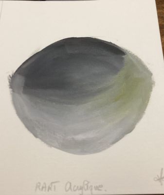 La méthode des 3 pinceaux à l'acrylique de Marguerite le 26 janvier 2025