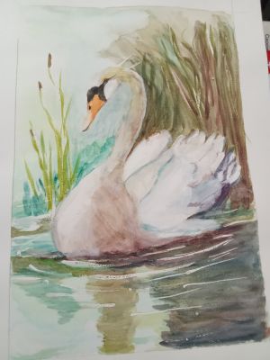 Le Cycle de l'Eau à l'Aquarelle de Prieur vve benad le 21 avril 2025