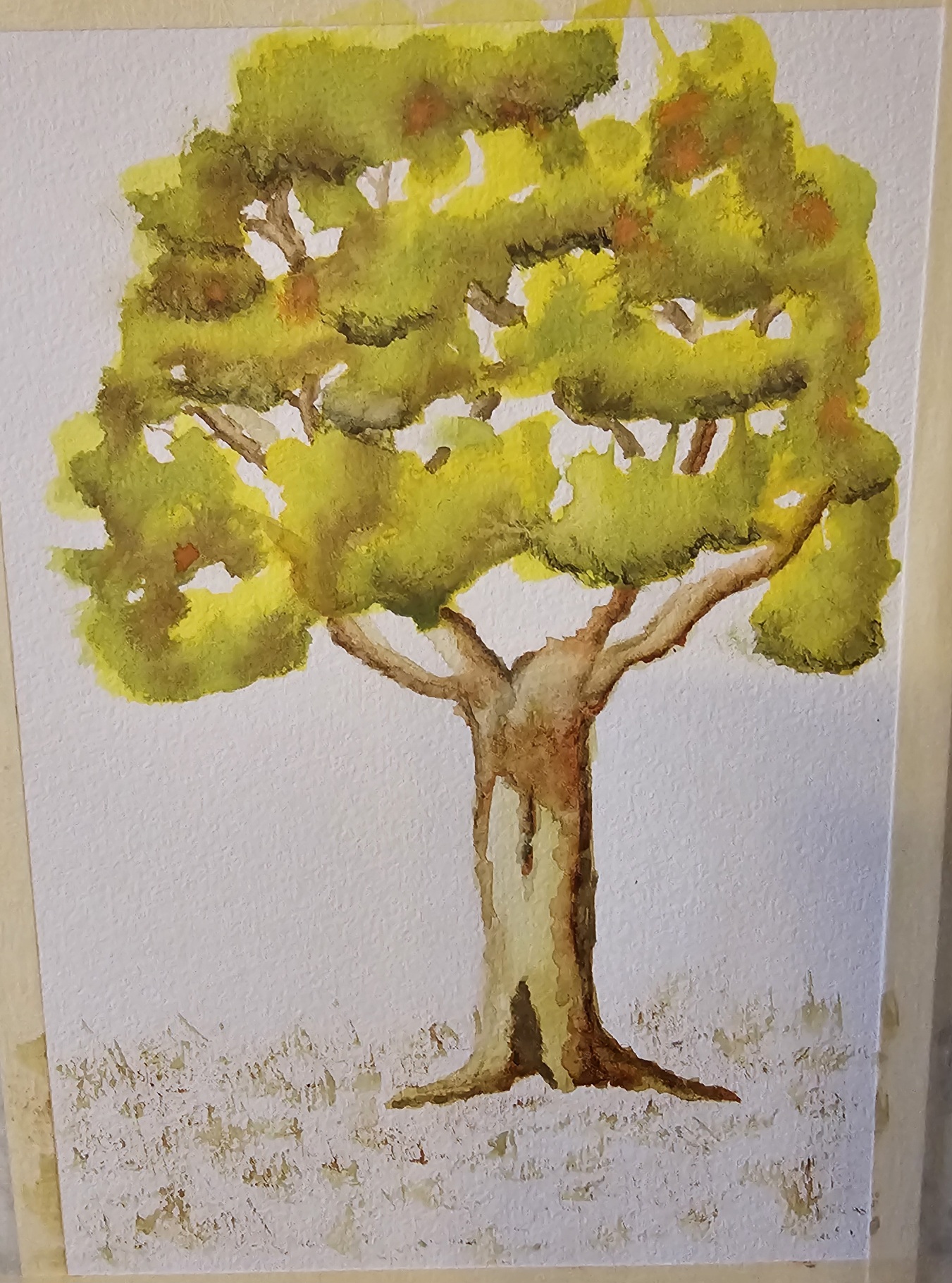 Le Lavis à l'Aquarelle de Carole le 23 octobre 2025