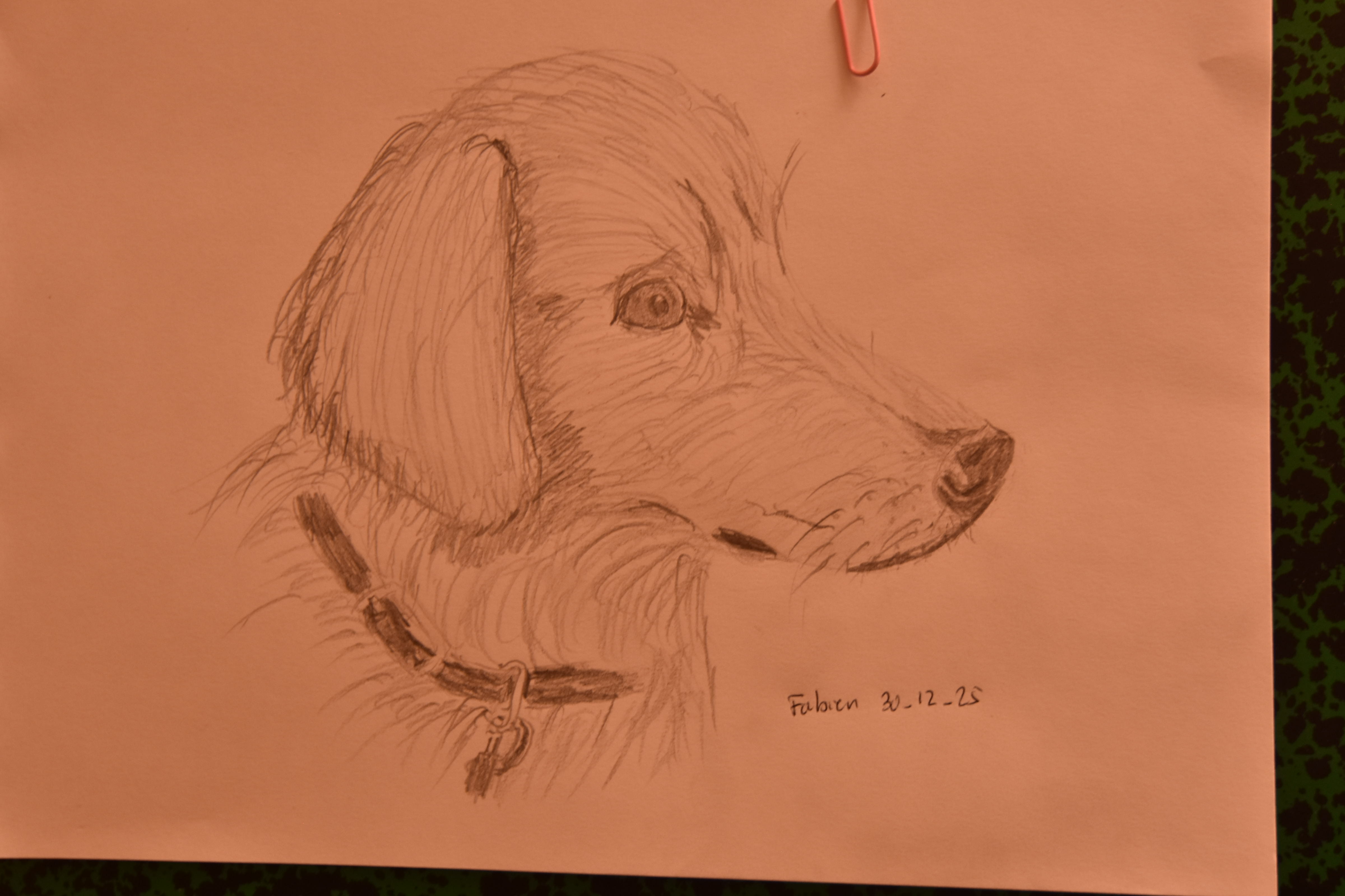 Dessiner une tête de chien de Fabien le 30 décembre 2025