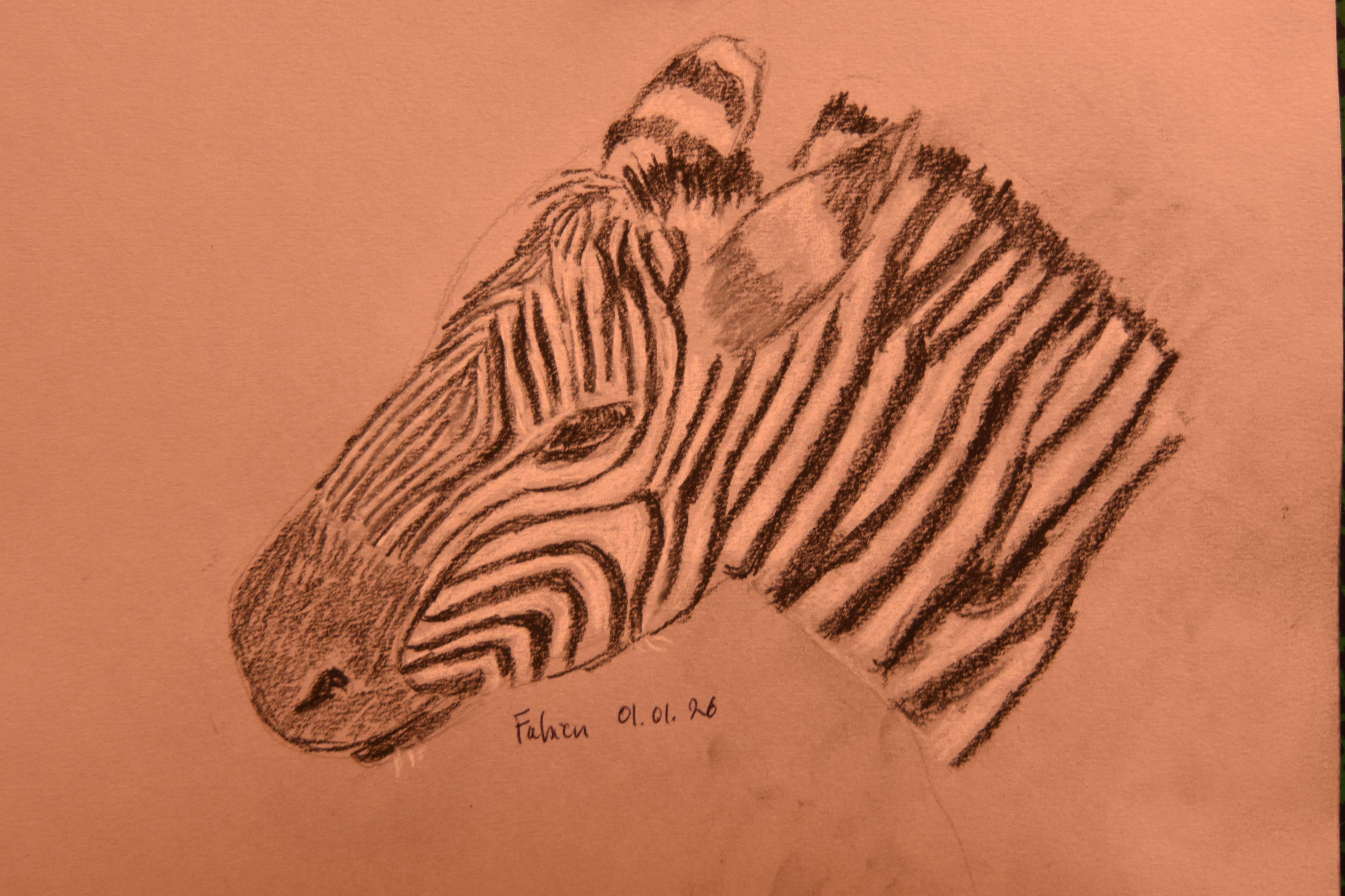 Dessiner une tete de zebre de Fabien le 01 janvier 2026